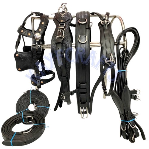 Black leather horse driving - horse,