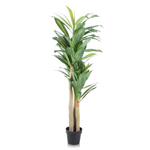 Alfresia 160cm artificial - alfresia,