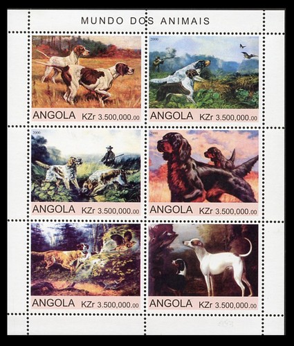 Gun dogs pointer - pointer, english