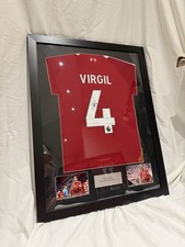 Virgil Van Dijk of Liverpool