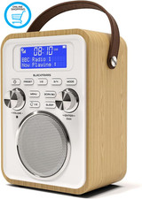 DAB/DAB+ & FM Portable Digital