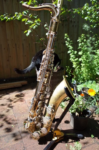 1961 selmer mark - mark, vi