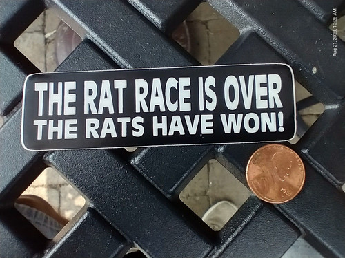 The rat race over - the, is