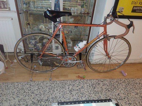 Colner colnago road bike - colner/colnago,