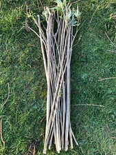30x 90cm willow cuttings - 30x,
