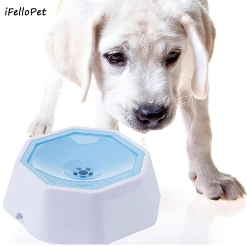Spill pet water - spill,