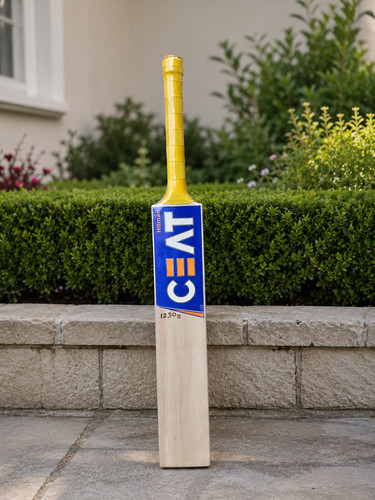 Cricket bat short handle - bat,