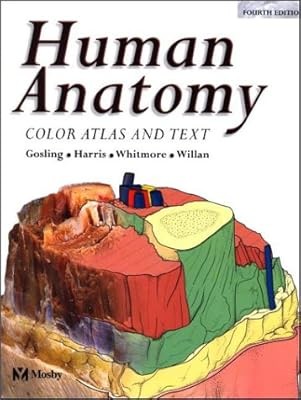 Human anatomy color atlas - human, anatomy:
