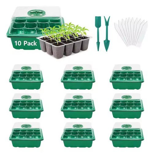 Pack hole plant seed - 10,