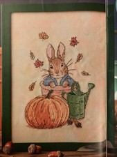 Beatrix Potter Pumpkin And