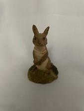 Vintage Aynsley Master Craft Bunny Hand Painted 