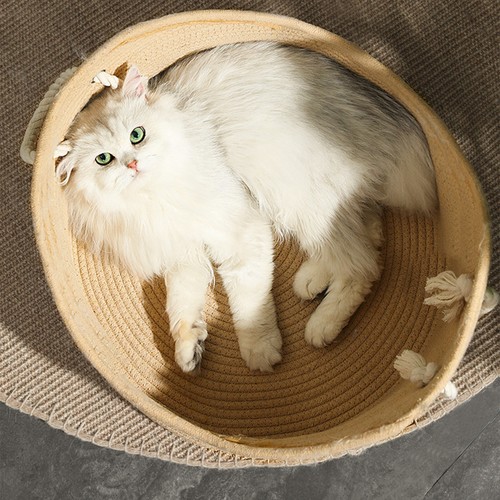 Cat hand made wicker - made,