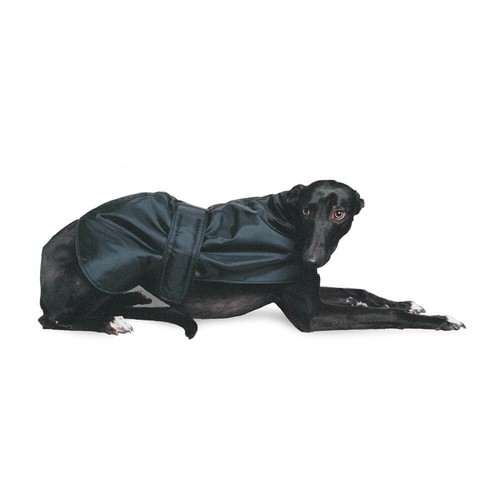 Ancol muddy paws greyhound - muddy,