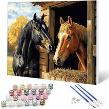 Horse Paint by Numbers Kit