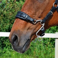 Little S Hackamore Bitless Bridle Noseband (Large/Full - Black) [Made in the UK]