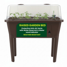 Raised Bed Garden Elevated