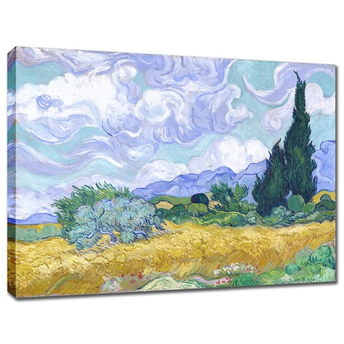 Wheat field and cypresses - wheat,