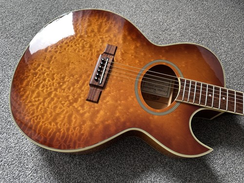 Vintage 1997 washburn festival - 1997,