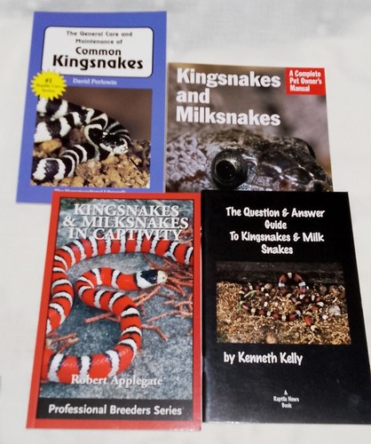 Kingsnakes milk snakes - snakes,