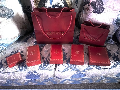 Cartier santos empty - cartier,