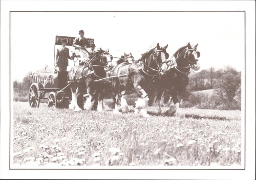 Vintage courage breweries - courage,