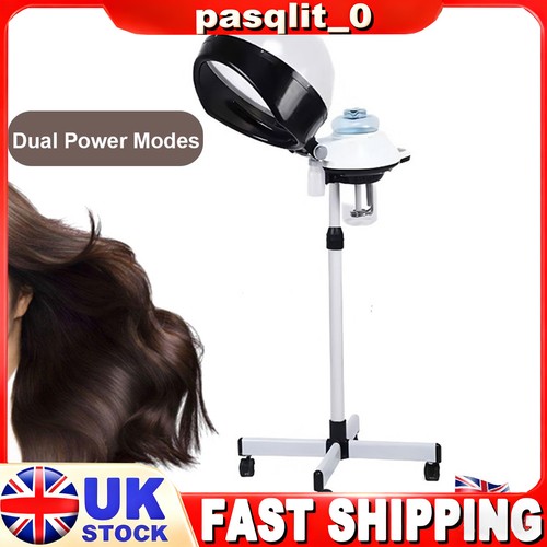 Professional hair steamer and - hair,