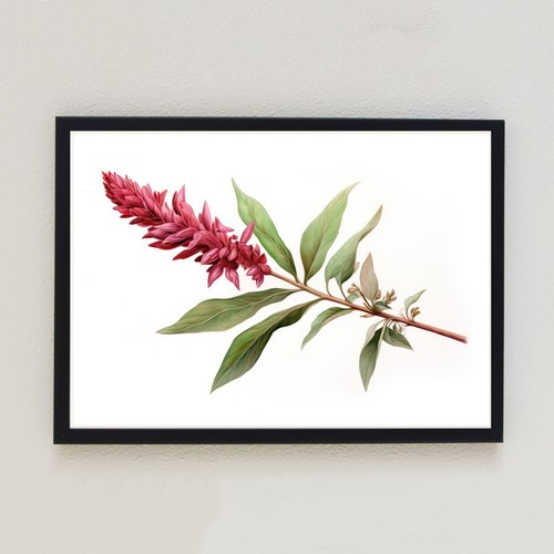 Vintage flower botanical - flower,