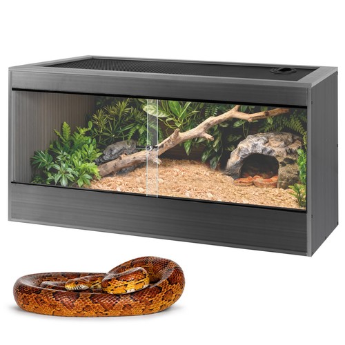 Gallon reptile enclosure - reptile,