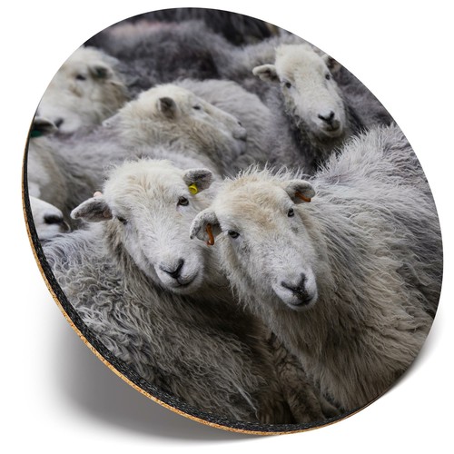 Round single coaster - round,