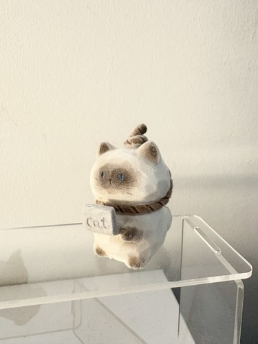 Cute siamese cat - cat, figure