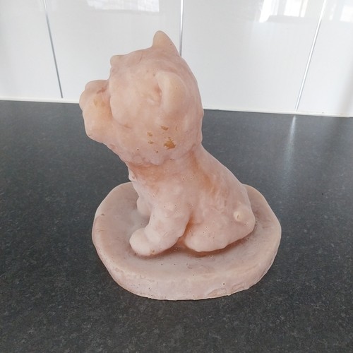 Latex mould create - latex, this