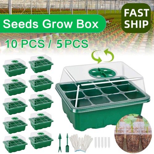 10x cells seedling - cells,
