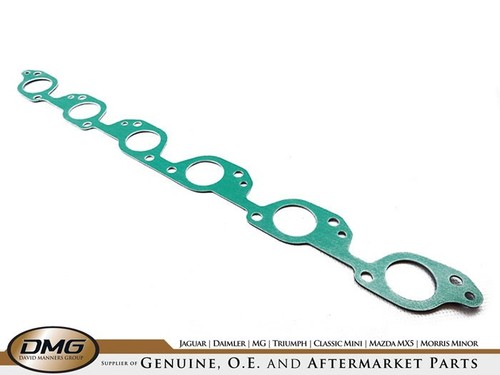 Manifold gasket fuel - ,
