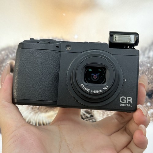 Ricoh digital grd2 - ricoh, ii