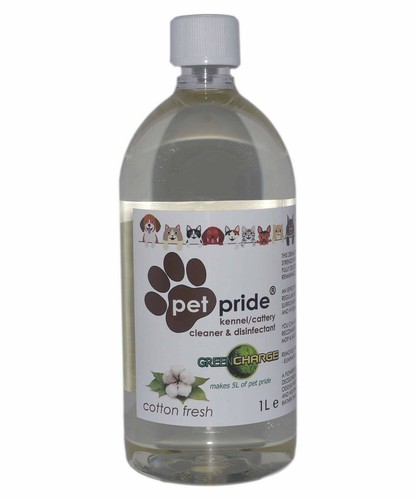 Kennel cattery cleaner - cattery,