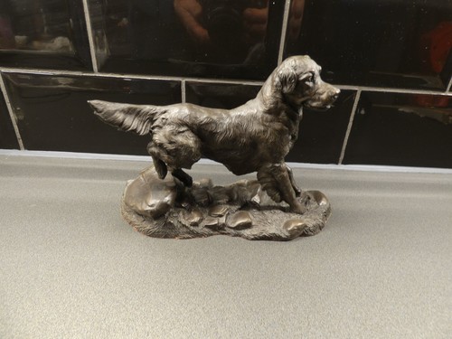 Heredities golden retriever - golden,