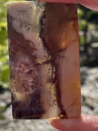 Landscape petrified wood - landscape,