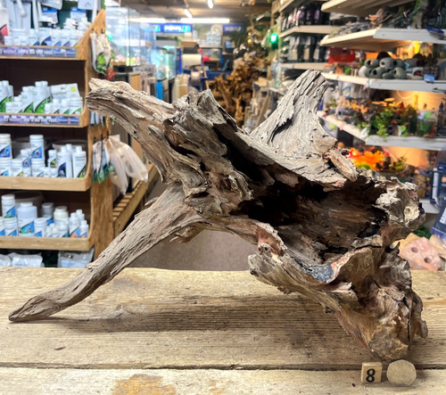 Large corbo root aquarium - corbo,