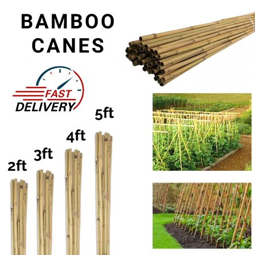Ft strong bamboo canes - ft,