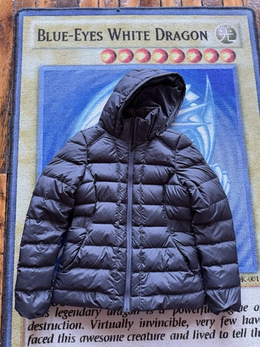 The north face - the, parka