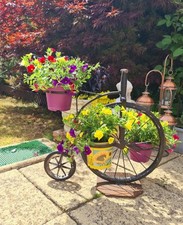 Penny Farthing Plant Pot