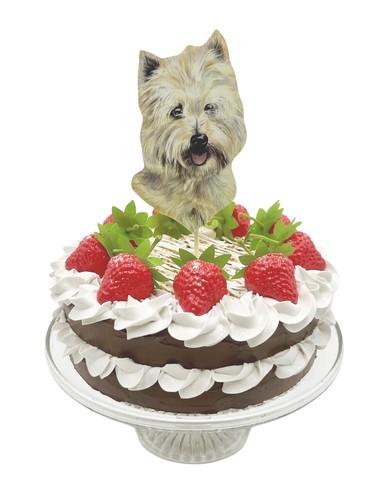 West highland terrier cake - highland,