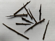 10 Natural BLACKTHORN Thorns