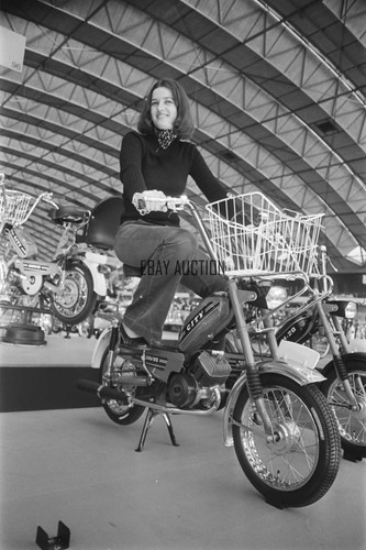 Batavus bicycle display - batavus,
