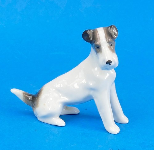 Wire haired fox terrier - wire,