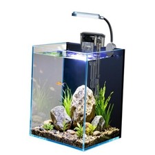 1.5 Gallon Fish Tank Starter