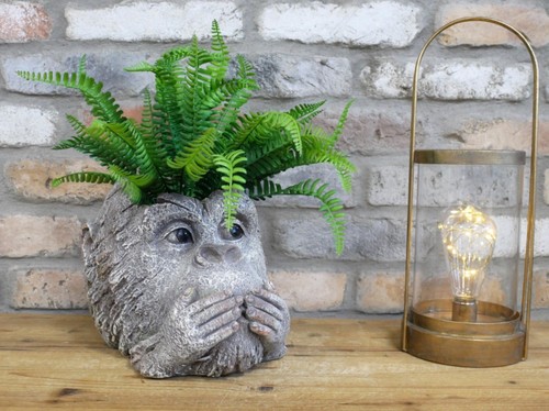 Rustic monkey head - rustic,
