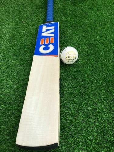 English willow cricket bat - english,
