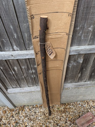 Blackthorn walking stick shank - blackthorn,