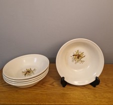 Vintage Carrigdhoun Irish